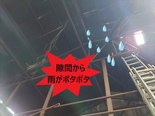 雨漏り箇所　屋根　隙間